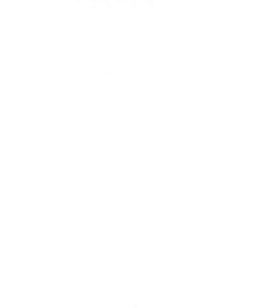 108" MDG Dream Cotton Solids-White